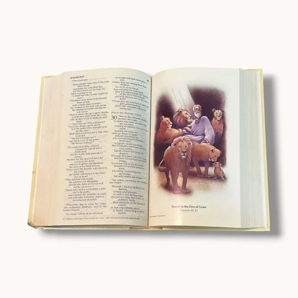 NIV Children’s Holy Bible Illustrated 1989 Zondervan Hardcover